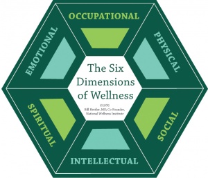 The 6 dimensions of wellness