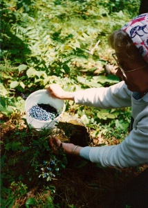 Picking blueberries with Grandma